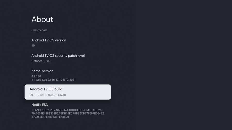 About Menu: Android TV OS Build highlighted