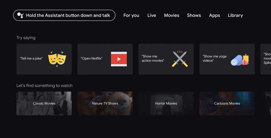 Google TV Assistant